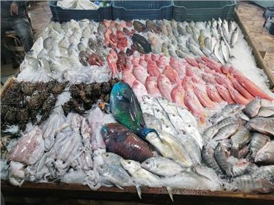 ارتفاع طفيف بأسعار الأسماك فى سوق العبور اليوم 24 أبريل
