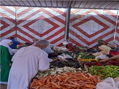 افتتاح 20 منفذا لبيع الخضروات والفاكهة بسعر الجملة في الجيزة