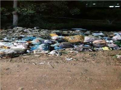 أهالي قرية «ساقية أبو شعرة» بمركز أشمون يستغيثون من انتشار القمامة 