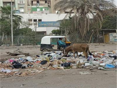 تلال القمامة تحاصر قصر ثقافة بهتيم بشبرا الخيمة