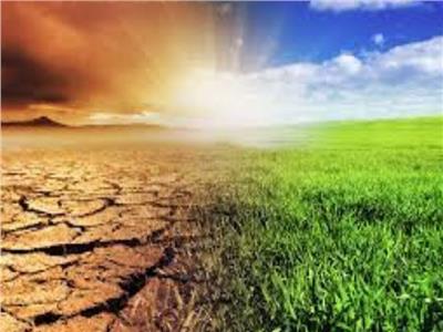 دراسة: تغير المناخ سيزيد من تدمير المحاصيل في العالم بنسبة 80٪ 