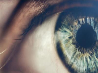 إنجاز طبي..علماء يعيدون عيون متبرعين بالأعضاء للحياة بعد ساعات من الموت  
