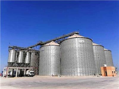 «القابضة للصوامع»: محافظة الشرقية تحتل المركز الأول في توريد القمح
