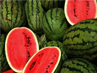 إصابة 13 شخصا بالتسمم بسبب تناول البطيخ في أسيوط 