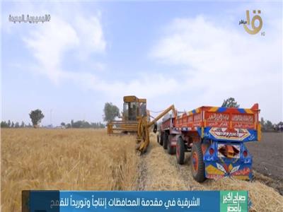 محافظ الشرقية: تصدرنا توريد القمح على مستوى الجمهورية في أخر 3 سنوات |فيديو