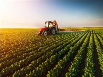 الزراعة: الفلاح حريص على استخدام التكنولوجيا