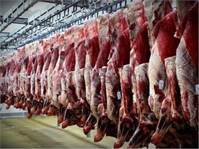 «الثروة الحيوانية»: نسبة الاكتفاء الذاتي من اللحوم تصل لـ52%| فيديو