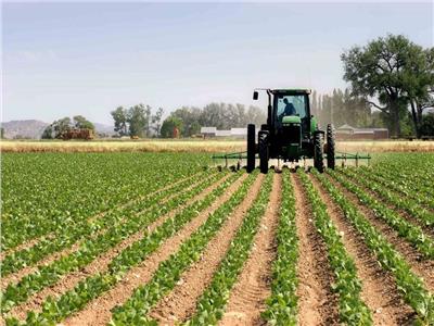 خبير زراعي: المياه ونوع التربة ستحدد محاصيل الزراعة في الأراضي المستصلحة