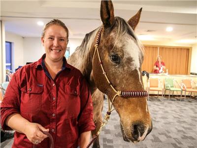 «بوشمان».. حصان يساعد مرضى الخرف المسنين على العلاج| صور
