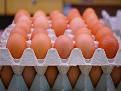 أسعار البيض بالأسواق الثلاثاء 31 مايو
