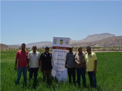 بحوث الصحراء والعربية للتنمية الزراعية ينفذان أنشطة لإدماج أبناء سيناء بوادي فيران