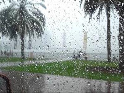 هطول أمطار خفيفة على مدينة العريش.. وحماية البيئة: ظاهرة غريبة
