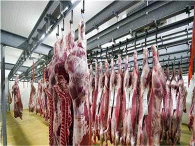 «تنمية الثروة الحيوانية»: حققنا 62% اكتفاء ذاتيًا من اللحوم الحمراء|فيديو