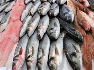  استقرار أسعار الأسماك في سوق العبور اليوم 