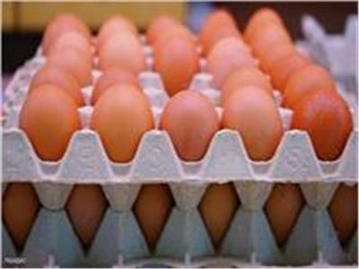 استقرار أسعار البيض في المزارع المحلية اليوم 19 يونيو