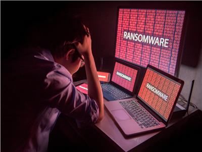 دراسة: مجرمو الإنترنت يستغلون المعلومات لتنظيم الهجمات الإلكترونية