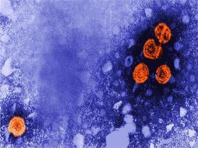 اكتشاف 920 حالة عالميًا.. ومصر تسجل أقل معدلات إصابة بالفيروسات الخمسة