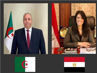 اليوم.. انطلاق الاجتماعات التحضيرية للجنة العليا المصرية الجزائرية 