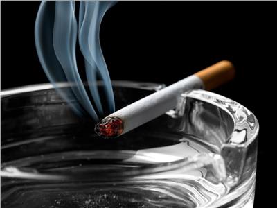 رئيس شعبة الدخان يكشف أسباب خروج شركة شهيرة للسجائر من السوق المحلية