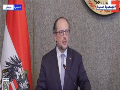 وزير خارجية النمسا: ضرورة مساندة مصر فى مواجهة آثار أزمة أوكرانيا وروسيا