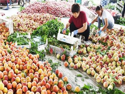 شركات الصين تبيع العقارات مقابل الثوم والبصل والخوخ والبطيخ