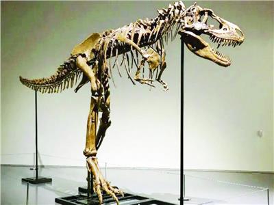 عرض هيكل ديناصور للبيع بـ 8 ملايين دولار