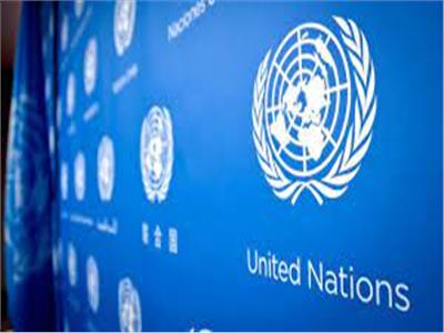 الأمم المتحدة: الوصول إلى المعلومات حق من حقوق الإنسان