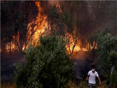 غابات أوروبا تحترق.. البرتغال وكرواتيا وإسبانيا وفرنسا تصارع للسيطرة على الوضع