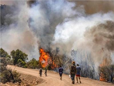 المغرب: مصرع شخص وإجلاء 1100 أسرة بسبب الحرائق