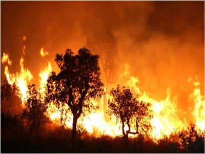 إجلاء الآلاف بسبب حرائق الغابات جنوب غربي فرنسا