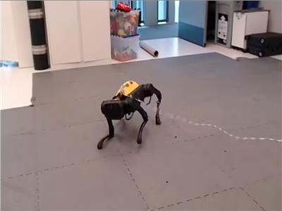 كلب آلي يعلم نفسه المشي | فيديو