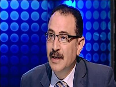 طارق فهمي: السياسة الخارجية المصرية تسير في دوائر متعددة