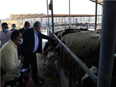 وزير الزراعة يتفقد مزرعة الإنتاج الحيواني وتصنيع الألبان بالنوبارية | صور