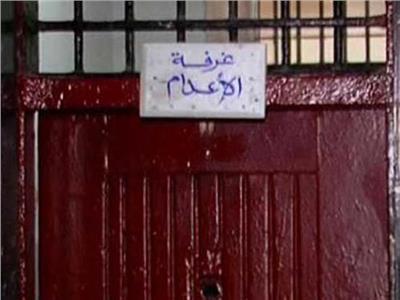إعدامات على الهواء.. أشهرها «قتلة نانيس وأطفالها وهشام عشماوي»| فيديو