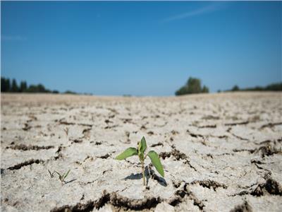 الجفاف والتصحر يهددان أوروبا بسبب ارتفاع درجات الحرارة