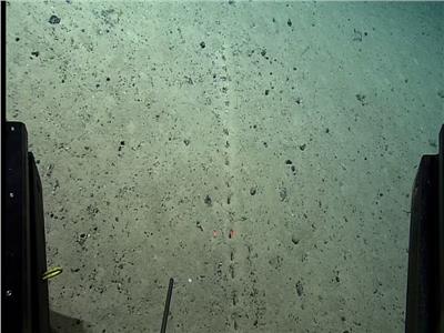 اكتشاف ثقوب غامضة في قاع المحيط الأطلسي