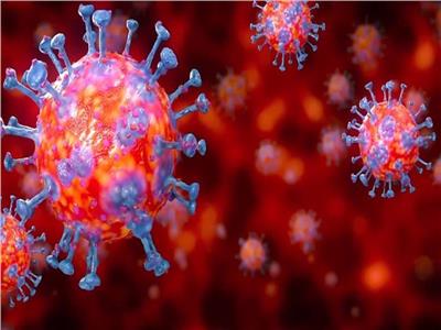 عالمة فيروسات: تغير المناخ أحد العوامل المساعدة على انتشار الأوبئة