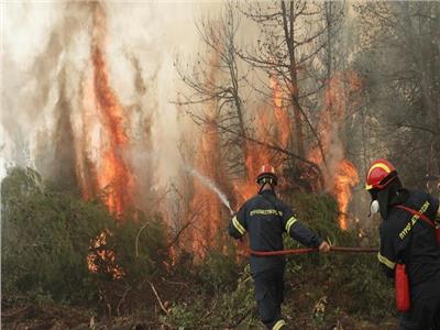 حرائق الغابات قد تدمر سلوفينيا.. والسبب وجود قنابل عمرها 100 عام