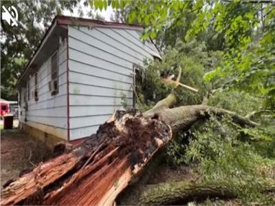 عمرها 200 عام.. سقوط شجرة على منزل دون وقوع إصابات| صور  