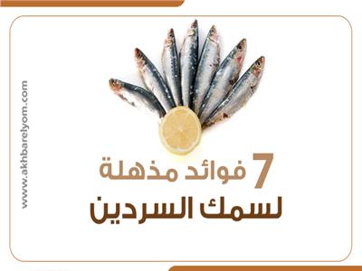 إنفوجراف| 7 فوائد مذهلة لـ«سمك السردين».. تعرف عليها