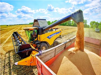 تجار يعرضون بيع مزيد من الحبوب الأوكرانية مع استئناف التصدير