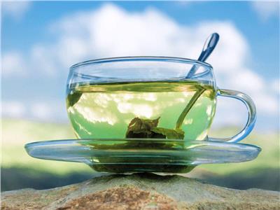 دراسة: شرب 5 أكواب من الشاي الأخضر يوميًا قد يساعد في تقليل نسبة السكر في الدم 
