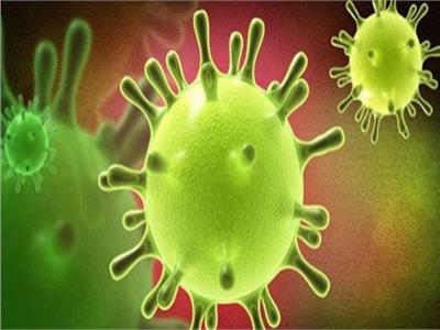 «هينيبا» فيروس صيني جديد ينتشر من الحيوانات للبشر