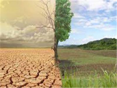 «بحوث الصحراء» يحتفل باليوم العالمي لمكافحة التصحر