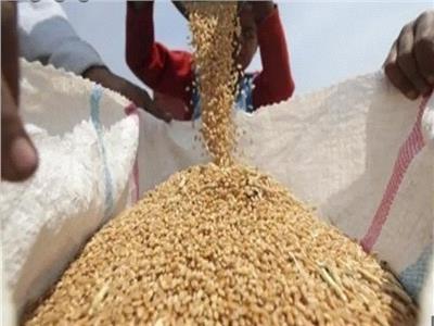 «متحدث التموين»: ضم 20 مصدرًا جديدًا لاستيراد القمح من الخارج