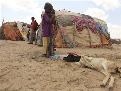 نزوح مليون شخص من الصومال بسبب الجفاف 