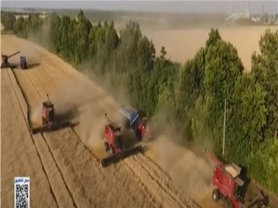شاهد| تراجع جديد في أسعار القمح بسبب الشحنات الأوكرانية