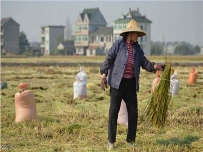 الصين: تخصيص 30 مليون دولار لمواجهة الجفاف