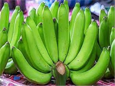 دراسة: الموز غير مكتمل النضج يحمي من سرطان القولون