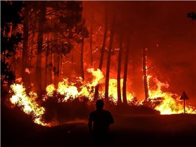 بسبب التغيرات المناخية.. الحرائق تلتهم جزيرة صقلية الإيطالية | فيديو